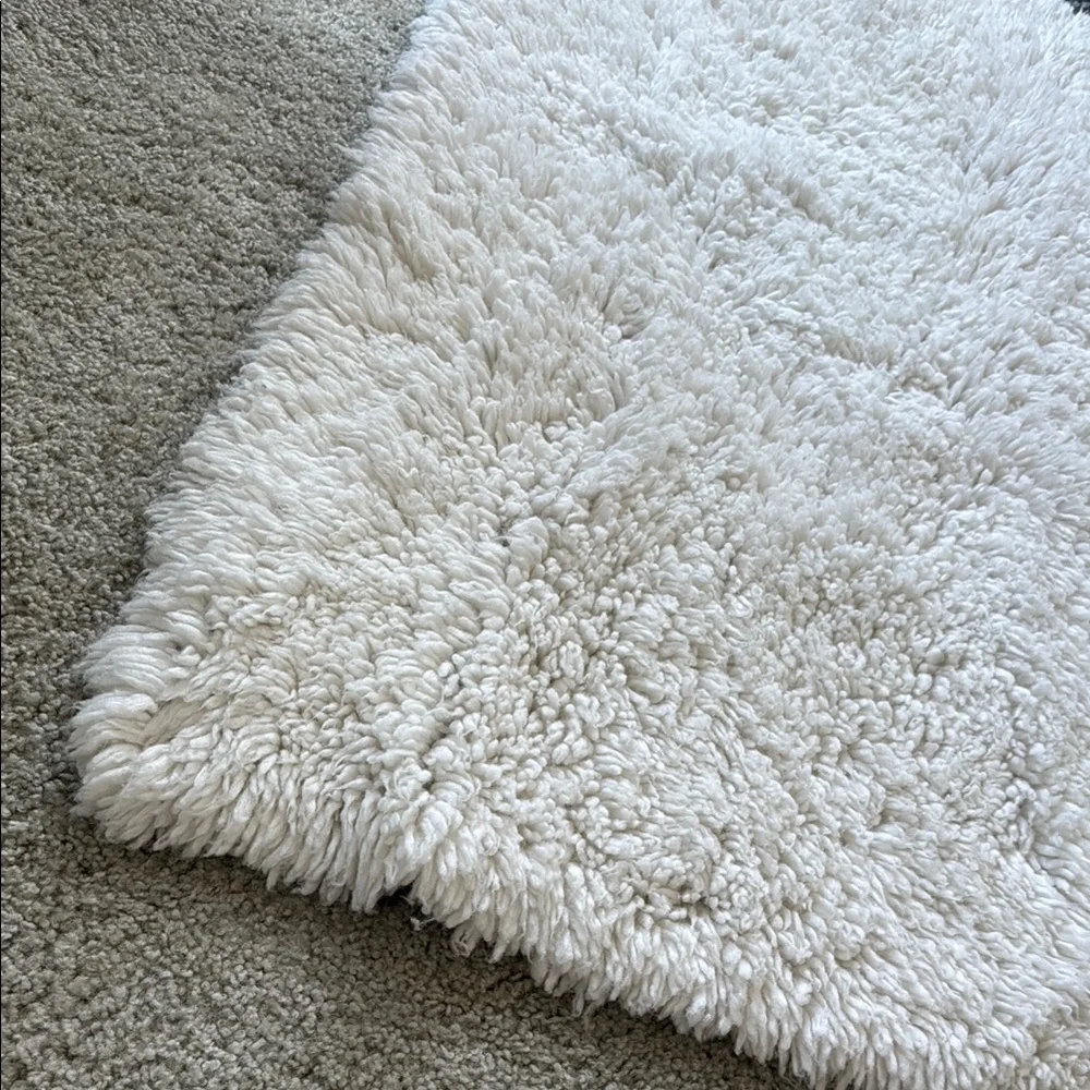 Room Essentials Washable Plush Shag Rug